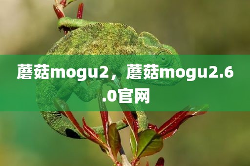 蘑菇mogu2，蘑菇mogu2.6.0官网