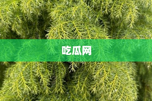 吃瓜网