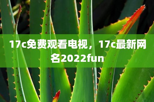 17c免费观看电视，17c最新网名2022fun