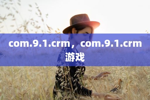 com.9.1.crm，com.9.1.crm游戏