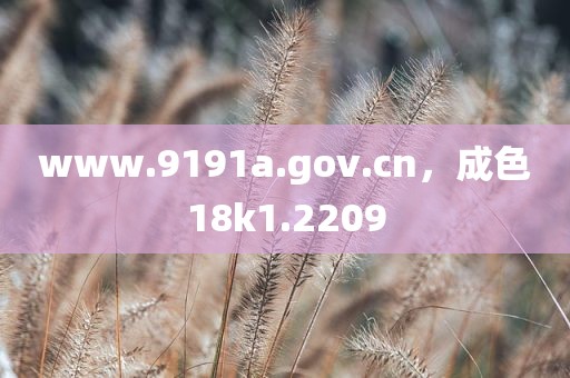 www.9191a.gov.cn，成色18k1.2209