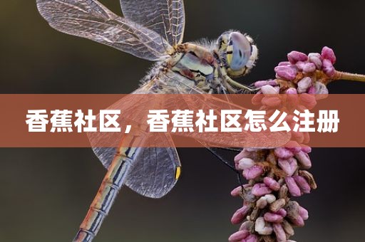 香蕉社区，香蕉社区怎么注册