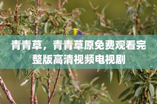 青青草，青青草原免费观看完整版高清视频电视剧