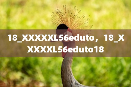 18_XXXXXL56eduto，18_XXXXXL56eduto18