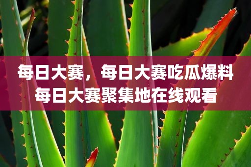 每日大赛，每日大赛吃瓜爆料每日大赛聚集地在线观看