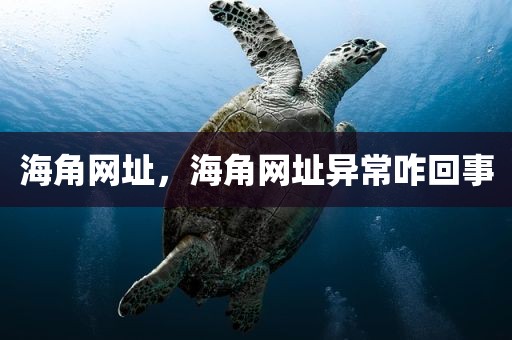 海角网址，海角网址异常咋回事