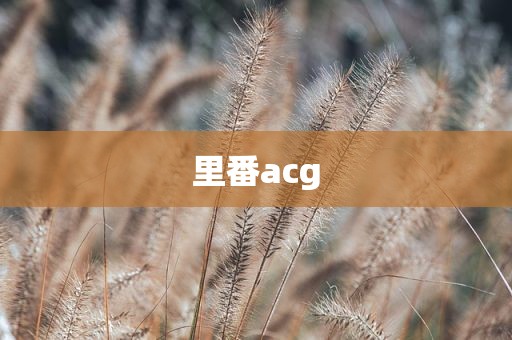 里番acg