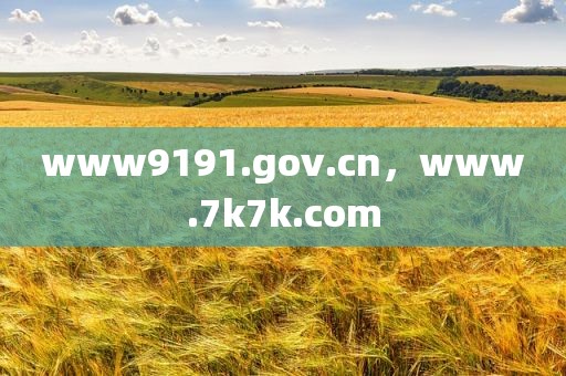 www9191.gov.cn，www.7k7k.com