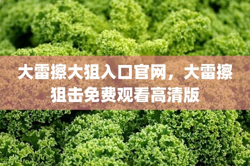 大雷擦大狙入口官网，大雷擦狙击免费观看高清版