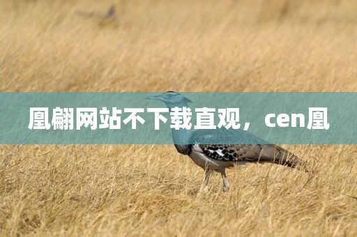 凰翩网站不下载直观，cen凰