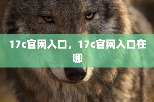 17c官网入口，17c官网入口在哪