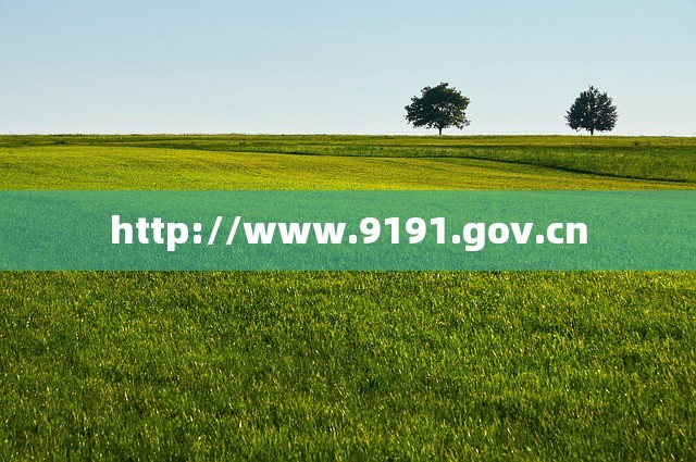 http://www.9191.gov.cn