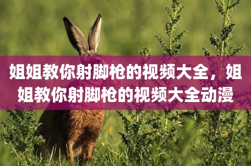姐姐教你射脚枪的视频大全，姐姐教你射脚枪的视频大全动漫