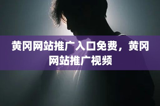 黄冈网站推广入口免费，黄冈网站推广视频