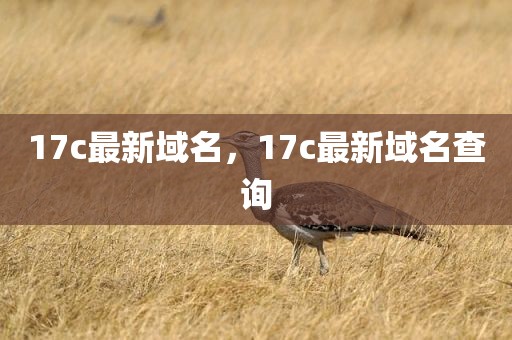 17c最新域名，17c最新域名查询