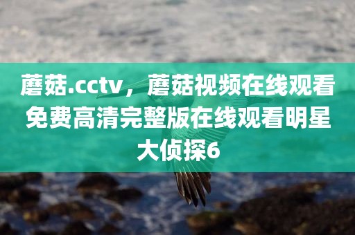 蘑菇.cctv，蘑菇视频在线观看免费高清完整版在线观看明星大侦探6