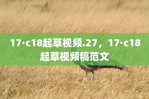 17·c18起草视频.27，17·c18起草视频稿范文