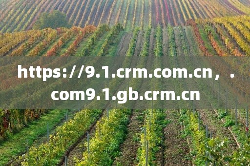 https://9.1.crm.com.cn，.com9.1.gb.crm.cn