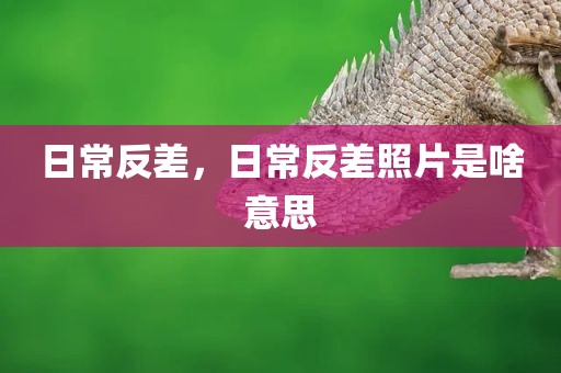 日常反差，日常反差照片是啥意思