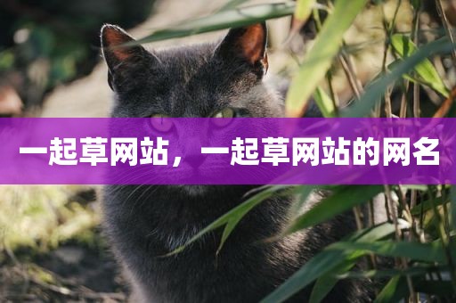 一起草网站，一起草网站的网名