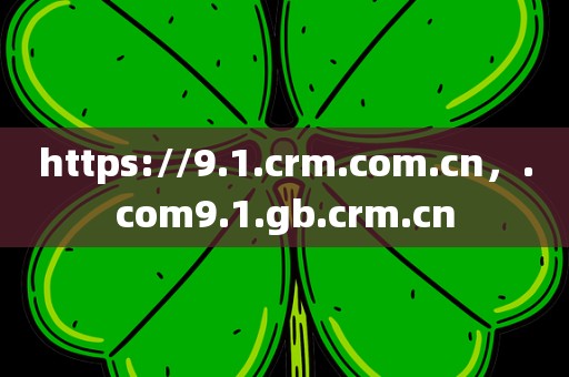 https://9.1.crm.com.cn，.com9.1.gb.crm.cn