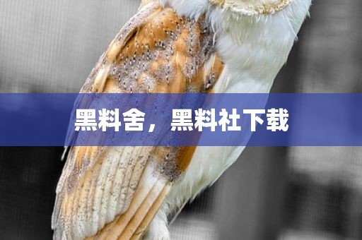 黑料舍，黑料社下载