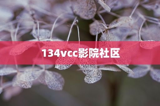 134vcc影院社区