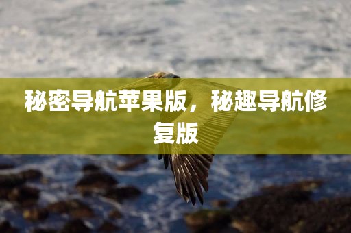 秘密导航苹果版，秘趣导航修复版