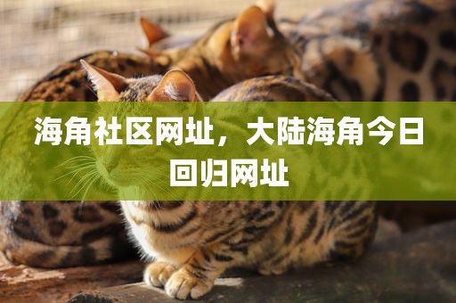 海角社区网址，大陆海角今日回归网址