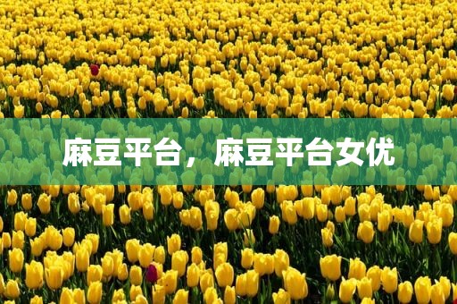 麻豆平台，麻豆平台女优
