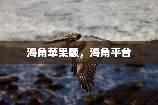 海角苹果版，海角平台