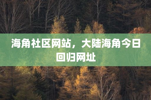海角社区网站，大陆海角今日回归网址