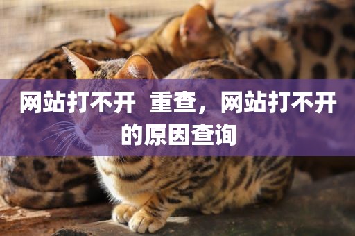 网站打不开  重查，网站打不开的原因查询