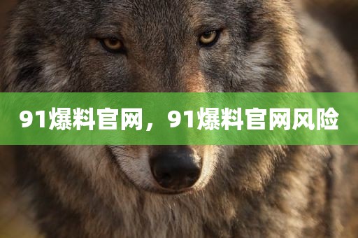 91爆料官网，91爆料官网风险