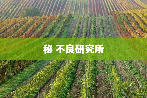秘 不良研究所
