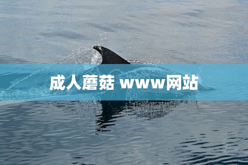 成人蘑菇 www网站