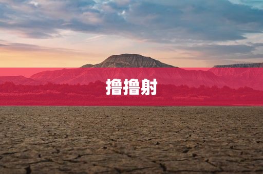 撸撸射