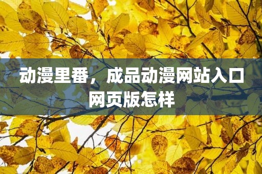 动漫里番，成品动漫网站入口网页版怎样