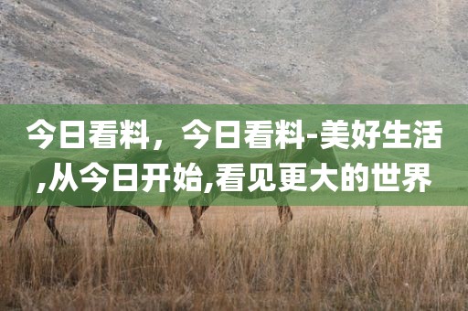 今日看料，今日看料-美好生活,从今日开始,看见更大的世界