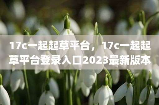 17c一起起草平台，17c一起起草平台登录入口2023最新版本