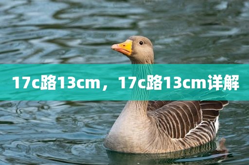 17c路13cm，17c路13cm详解