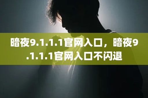 暗夜9.1.1.1官网入口，暗夜9.1.1.1官网入口不闪退