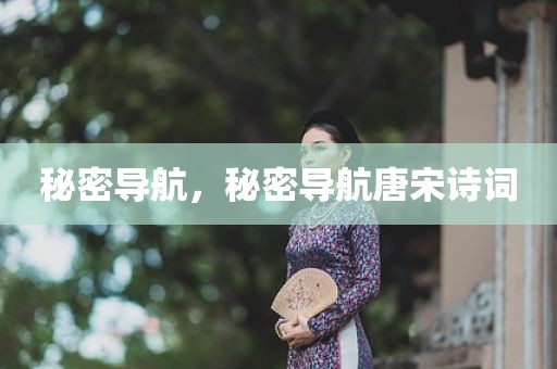 秘密导航，秘密导航唐宋诗词