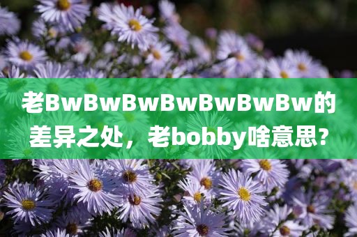 老BwBwBwBwBwBwBw的差异之处，老bobby啥意思?