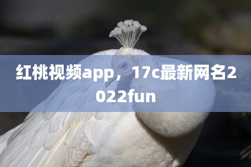 红桃视频app，17c最新网名2022fun