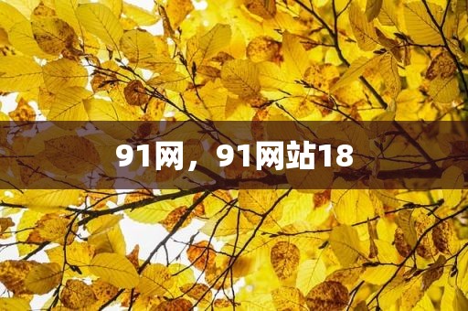 91网，91网站18