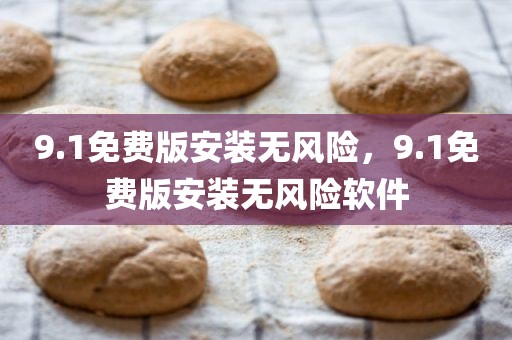 9.1免费版安装无风险，9.1免费版安装无风险软件