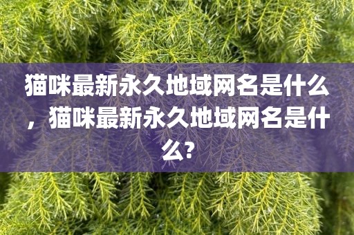 猫咪最新永久地域网名是什么，猫咪最新永久地域网名是什么?