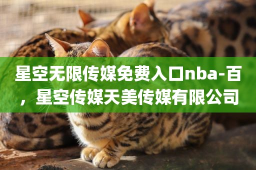 星空无限传媒免费入口nba-百，星空传媒天美传媒有限公司