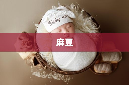 麻豆